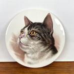 Tegel met kat, Ophalen of Verzenden
