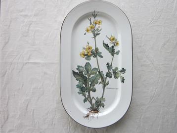 Villeroy & Boch Chelidoniúm Majus schaal D25,5 bij 45cm. beschikbaar voor biedingen