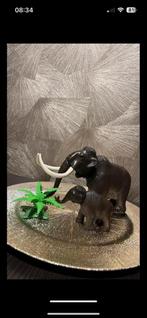 Playmobil Mammoet Familie 5105 - Compleet, Ophalen of Verzenden, Gebruikt