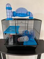 Knaagdier / hamsterkooi met toebehoren, Minder dan 60 cm, Kooi, Gebruikt, Minder dan 75 cm