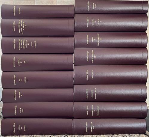 Johannes Calvijn, verklaring van de Bijbel in 16 delen, Boeken, Godsdienst en Theologie, Zo goed als nieuw, Ophalen of Verzenden