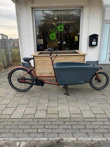 Nieuwe Dolly Bakfiets 600wh