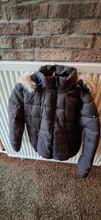Dames winterjas, Maat 38/40 (M), Bruin, Ophalen of Verzenden, Zo goed als nieuw