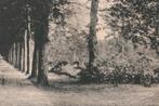 700106	Bergen	1922 De Hoflaan	Gelopen met postzegel, Verzamelen, Ansichtkaarten | Nederland, Ophalen of Verzenden, 1920 tot 1940