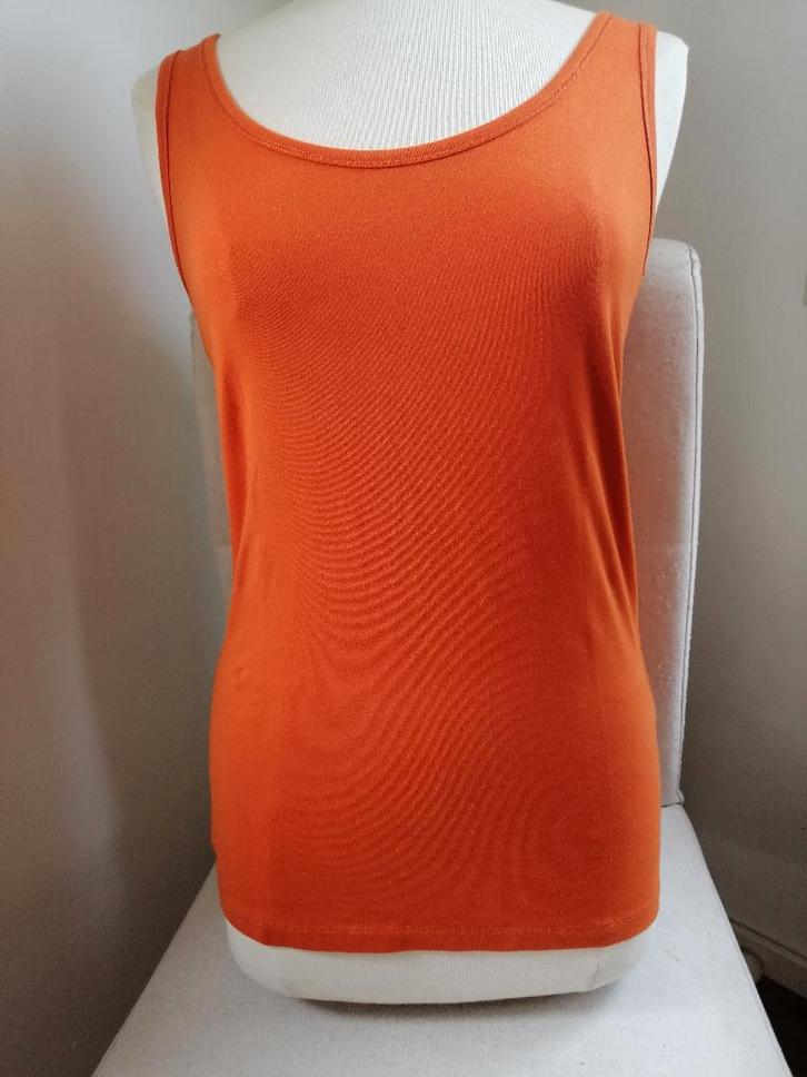Van Hassels top terra brique oranje maat M - nieuw -, Kleding | Dames, Tops, Nieuw, Maat 38/40 (M), Oranje, Zonder mouw, Ophalen of Verzenden