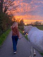 Verzorger aangeboden, Dieren en Toebehoren, Ophalen, Zo goed als nieuw