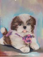 Schilderij van een schattige Shih Tzu puppy, Antiek en Kunst, Kunst | Schilderijen | Klassiek, Ophalen of Verzenden