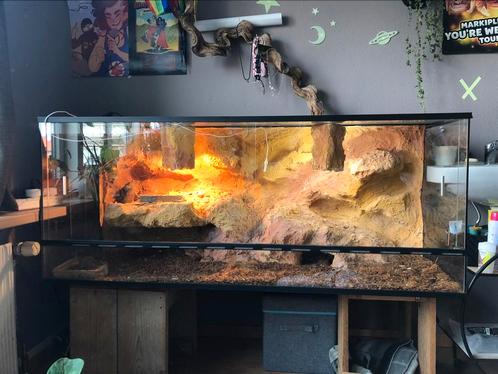 Groot terrarium, Dieren en Toebehoren, Reptielen en Amfibieën | Toebehoren, Gebruikt, Terrarium of Paludarium, Ophalen