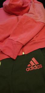 Roze grijs Adidas pak maat 140 en 152, Kleding | Dames, Ophalen of Verzenden, Zo goed als nieuw, Maat 34 (XS) of kleiner, Grijs