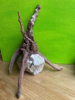 Aquarium inrichting, Dieren en Toebehoren, Vissen | Aquaria en Toebehoren, Ophalen of Verzenden, Plant(en), Steen of Hout