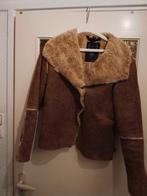 Te koop maat M Eddy s jacket, Kleding | Dames, Jassen | Winter, Ophalen of Verzenden, Zo goed als nieuw, Maat 38/40 (M), Zwart