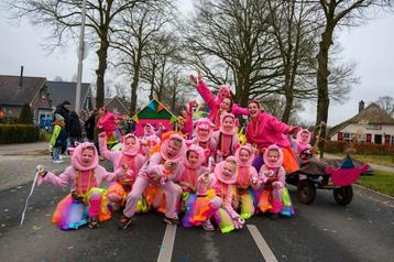 Kinder carnavalspakken 12x Varkens leeftijd 7/8 jaar beschikbaar voor biedingen