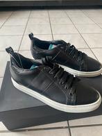 NIEUW John Richmond sneakers maat 38, Kleding | Dames, Schoenen, Zwart, Nieuw, Ophalen of Verzenden, Sneakers of Gympen