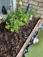 Houten Plantenbak voor Kruidentuin, Gebruikt, 60 tot 100 cm, 60 cm of meer, Rechthoekig