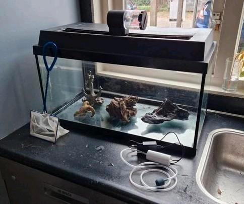 Aquarium 60x40x30 complete set, Dieren en Toebehoren, Vissen | Aquaria en Toebehoren, Zo goed als nieuw, Leeg aquarium, Ophalen