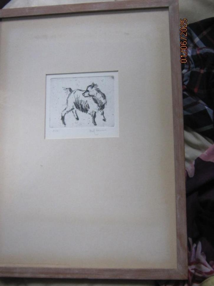 Inbeukenhouten lijstje leuk klein etsje van een geitje, Antiek en Kunst, Kunst | Etsen en Gravures, Ophalen of Verzenden