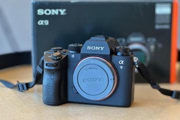 Sony A9 body (4.965 clicks) zeer goede staat beschikbaar voor biedingen