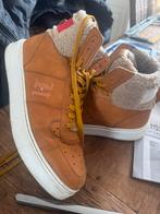 Tommy hilfiger sneakers, Ophalen, Bruin, Tommy Hilfiger, Sneakers of Gympen