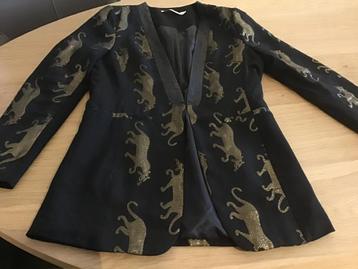 Aaiko colbert beschikbaar voor biedingen