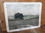 schoolplaat "Landschap in den Veluwzoom - Heelsum", Ophalen of Verzenden, Aardrijkskunde