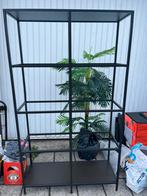 Stijlvolle Vitrinekast - Perfect voor je interieur!, Ophalen, Zo goed als nieuw