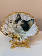 Sint Jacobsschelp met poes, Verzenden, Zo goed als nieuw