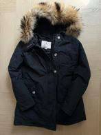 Woolrich Arctic Parka dames - Nieuw, Overige kleuren, Maat 42/44 (L), Nieuw, Ophalen of Verzenden