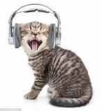 Transcripties van audio naar tekst!, WO, Vanaf 1 jaar, Geschikt als bijbaan, Freelance of Uitzendbasis