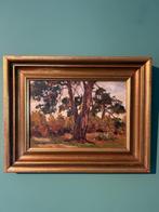 Sieger Baukema (1852–1936) Olieverf op paneel, gesigneerd., Ophalen