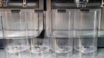 Watertank voor Krups Nespresso Pixie, ., Ophalen of Verzenden, Zo goed als nieuw, Krups