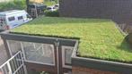 Sedum cassettes voor zelf te maken groen dak, Tuin en Terras, Planten | Tuinplanten, Ophalen of Verzenden, Zomer, Volle zon