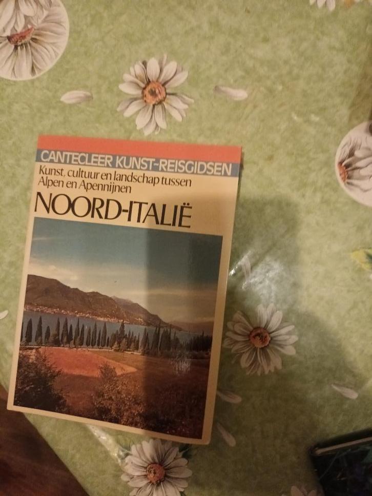 Noord Italie Cantecleer kunst reisgids Milaan, Turijn, Parma, Boeken, Reisgidsen, Zo goed als nieuw, Reisgids of -boek, Europa
