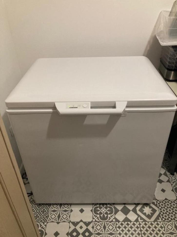 LIEBHERR vriezer 237L, Witgoed en Apparatuur, Vriezers en Diepvrieskisten, Zo goed als nieuw, Vrijstaand, Vrieskist, 85 tot 120 cm