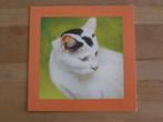 Dubbele kaart met afbeelding van poes / kat; Removos, 1980 tot heden, Nieuw, Ophalen of Verzenden, Dier
