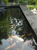 Graniet (voor bv vijverrand), Tuin en Terras, Vijvers, Ophalen, Zo goed als nieuw