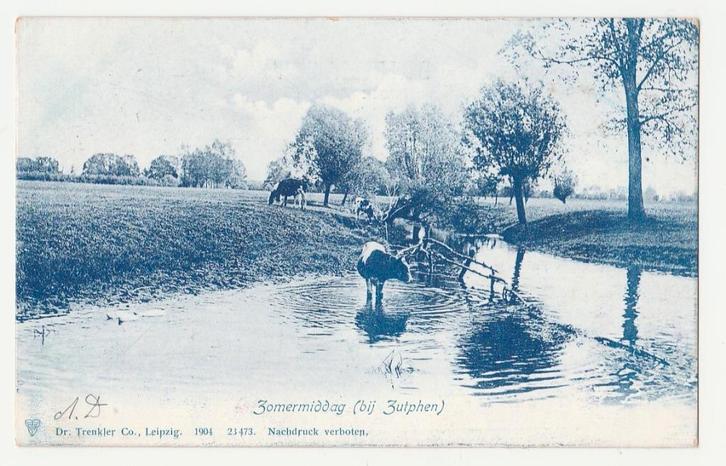Koeien bij Zutphen.  1904., Verzamelen, Ansichtkaarten | Themakaarten, Ongelopen, Voor 1920, Overige thema's, Verzenden
