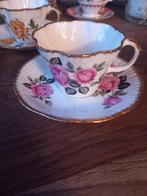 Salisbury kop en schotel, Ophalen of Verzenden