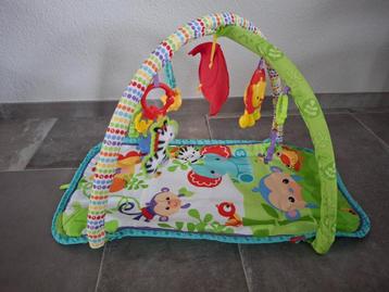 Fisher-Price Muzikale Activity Gym / Baby speelkleed beschikbaar voor biedingen