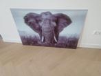 Glazen wand decoratie olifant, Ophalen, 125 cm of meer, Zo goed als nieuw, Schilderij
