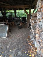 Barnevelder Haan, Dieren en Toebehoren, Mannelijk, Kip