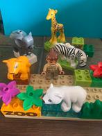 Duplo zoo dierentuin, Kinderen en Baby's, Speelgoed | Duplo en Lego, Ophalen of Verzenden, Zo goed als nieuw, Duplo
