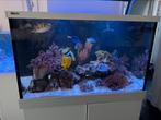 Zeeaquarium | Red Sea Max S400 | inclusief koraal en steen, Dieren en Toebehoren, Vissen | Aquaria en Toebehoren, Ophalen, Gebruikt