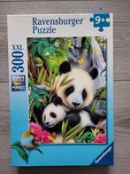 Puzzel Ravensburger Panda 300 stukjes, Ophalen, Meer dan 50 stukjes, Zo goed als nieuw, 6 jaar of ouder