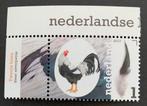 3488 Ned Kippenrassen 2017 Twents Hoen PF met tabs, Verzenden, Postfris