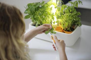 Nieuw | Fiskars Kruidentuin met LED verlichting | Op is Op.  beschikbaar voor biedingen