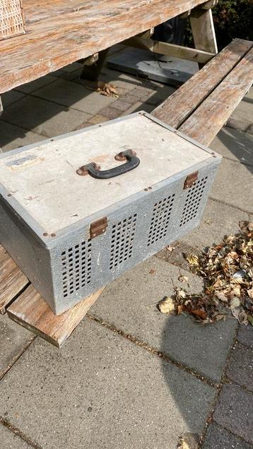 Duivenmand beschikbaar voor biedingen