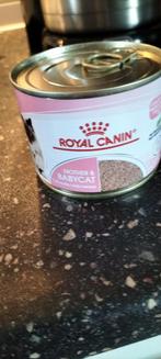Royal Canin katten natvoer, Dieren en Toebehoren, Dierenvoeding, Ophalen of Verzenden, Kat