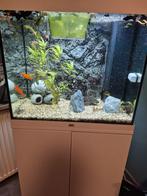 Juwel lido 125 met meubel  compleet, Ophalen, Gebruikt, Gevuld zoetwateraquarium