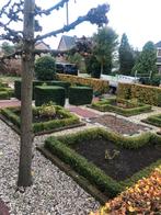 Tuinman klusjesman  - snoeien schoonmaken, 33 - 40 uur, Vanaf 10 jaar, Overige vormen