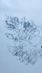 inkttekening 60x38cm, Ophalen of Verzenden